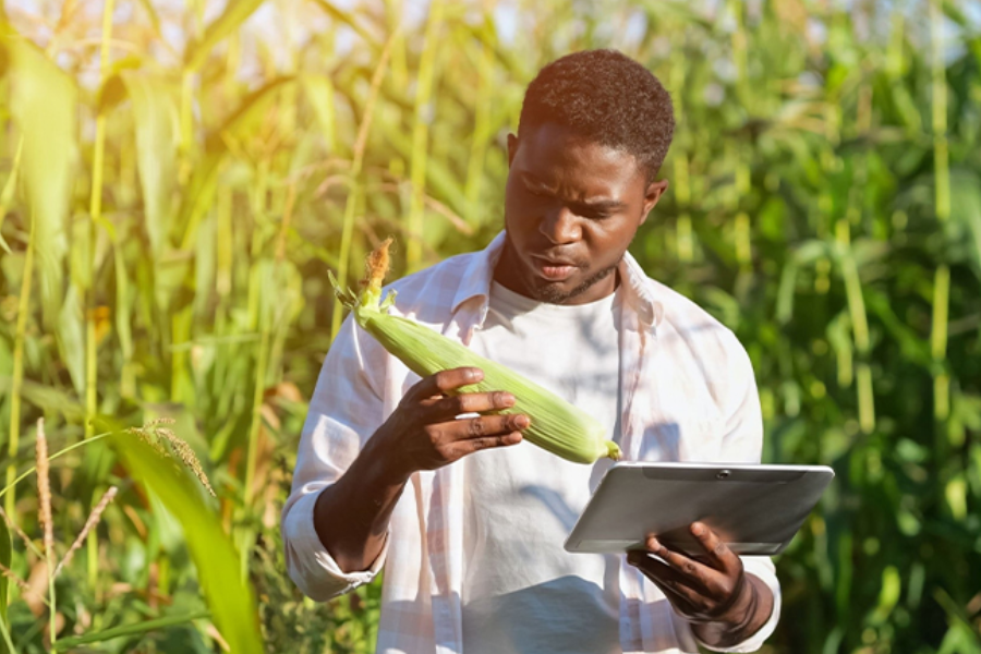 Agri consulting (Lomé, Octobre 2025)